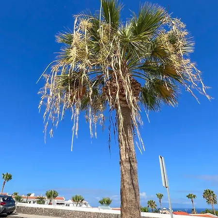 El Paraiso * אדחה