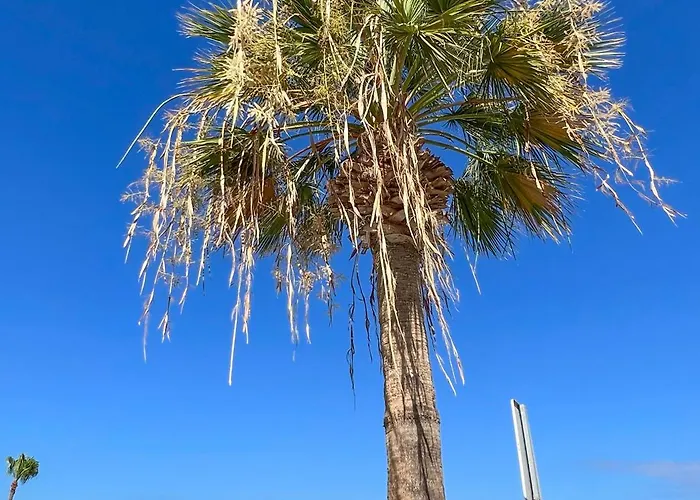 El Paraiso * Costa Adeje (Tenerife)